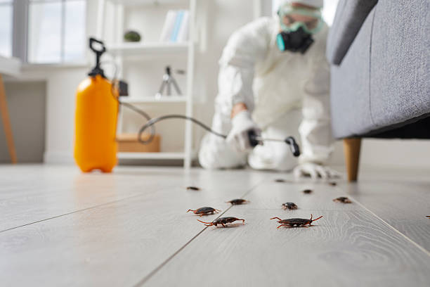 Commercial Kitchen Cockroach Control in Maysville